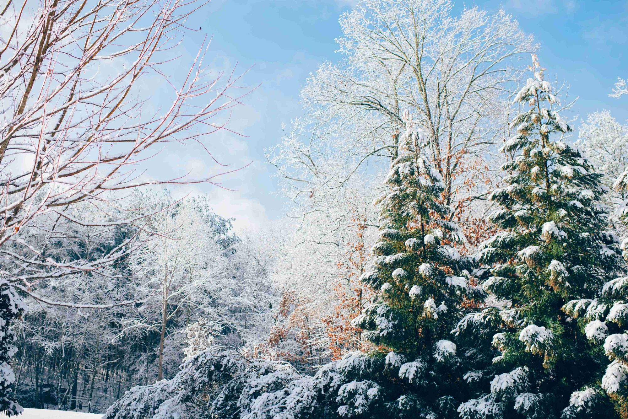15+ Winter-Themed Trivia Questions